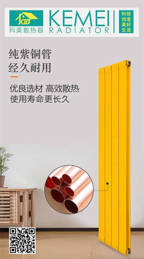 铜铝散热器领袖品牌